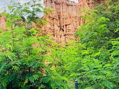 -元谋土林景区(物茂土林)