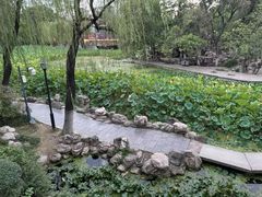 -莲湖公园