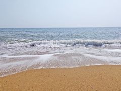 -渡海小渔村.老辈日照菜