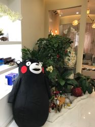 -新蝶变皮肤管理中心