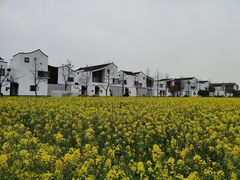 -东梓关景区村庄