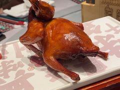 传统生炸红烧鸽-大鸽饭(体育西路店)