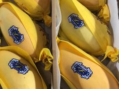 -上海龙吴水胜海发市场