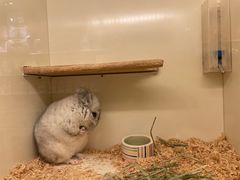 -龙猫仔乐园(惠福东路店)