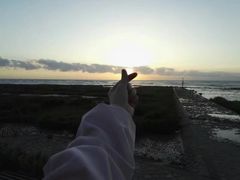 -南汇嘴观海公园