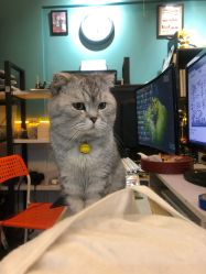 -众刺纹画·纹身·穿孔饰品·海娜定制