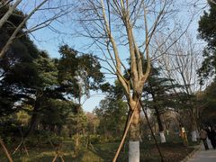 -上海吴淞炮台湾国家湿地公园