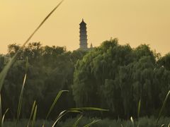 -北坞公园