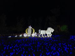 -如皋市龙游湖欢乐世界