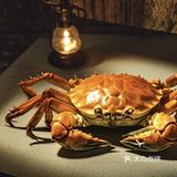烤虾美食记