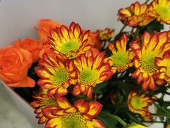 -沪花拾者(好再来花卉鲜花店)