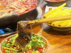 疯狂鲜毛肚-黄潇洒老火锅(九眼桥宏济巷店)