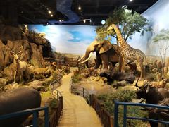 -陕西自然博物馆