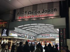 -秋叶原电器街