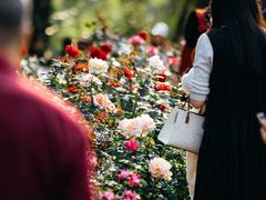 -人民公园(罗湖区)