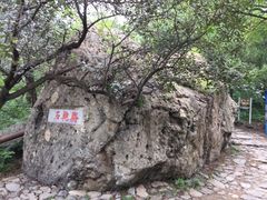 -阳台山自然风景区