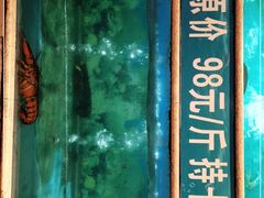 -金龙渔港(双楠店)