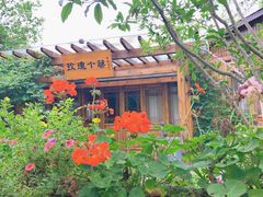 -鹅湖玫瑰文化园