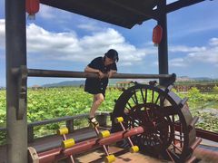 -漩门湾国家湿地公园