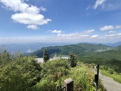 -武陵山森林公园