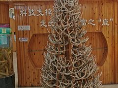 -北京鹿世界主题园