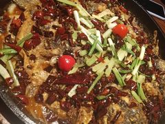 -老板恋上鱼(高新万达店)