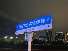 -中国宜宾·长江地标广场