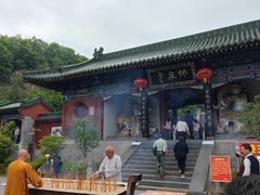 -中原大佛景区