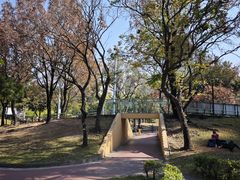 -九龙寨城公园