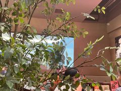 -墨纪Mojí墨西哥餐厅(官舍店)