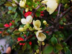 -白塘生态植物园