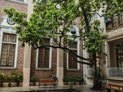 -香港大学