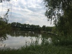 -白渔泡湿地公园