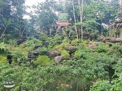 -绿光森林餐厅