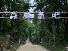 -洛阳白云山景区