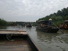 -溱湖国家湿地公园