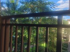 -西双版纳融创皇冠假日度假酒店