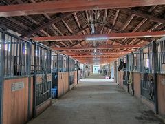 -北京群众马术培训基地