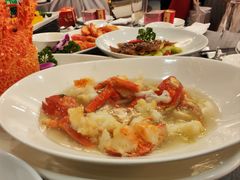-碧丽宫大酒店(召稼楼店)