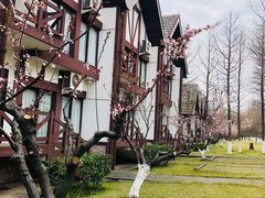 -太阳岛度假酒店