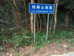 -梧桐山风景名胜区