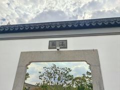 -上海滨江森林公园