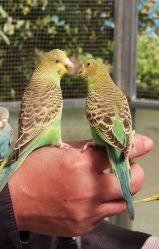 -萌宠亲子动物乐园(槐房万达店)