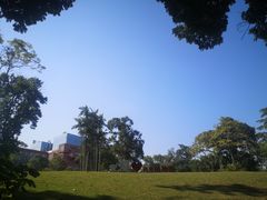 -广西壮族自治区药用植物园