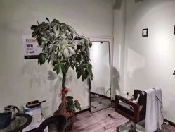 -初心HAlRSALON烫染接发