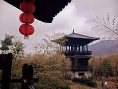 -大唐贡茶院