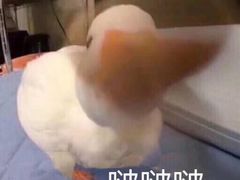 -花园饼屋·吐司蛋糕面包(星海店)