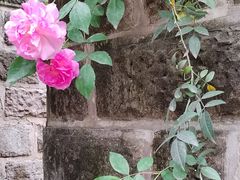 -重庆平顶山公园