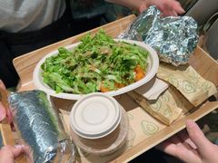 -油梨树AVOCADO TREE(顺义新国展店)