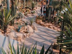 -上海辰山植物园
